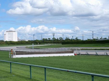 競馬 障害レース 置き障害 競馬 障害レース 置き障害 競馬,競馬場,障害の写真素材