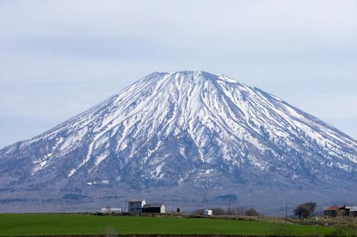 春の羊蹄山と農村 羊蹄山,美しい,住宅の写真素材