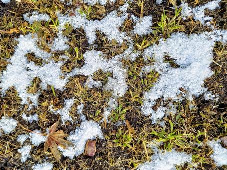 溶け残った雪 雪,枯草,冬の写真素材