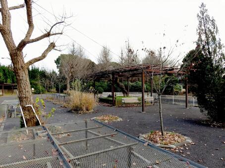 冬の大船フラワーセンター園内風景'16 公園,自然,植物の写真素材