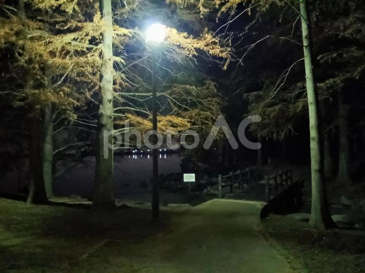 夜の公園（秋） 夜,公園,夜道の写真素材