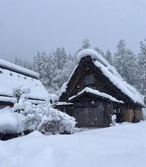 雪の白川郷 冬の白川郷,白川郷,雪の写真素材