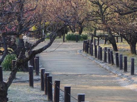 大阪城梅園 大阪城梅園の写真