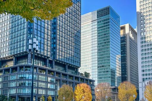 黄色く色づいた木々が彩る東京駅前の光景 高層ビル,都市風景,丸ノ内の写真素材