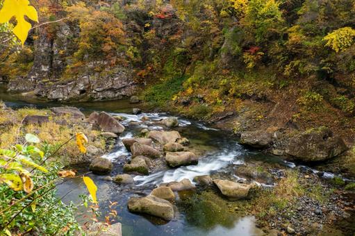 秋の磊々峡(50) 秋,紅葉,磊々峡の写真素材