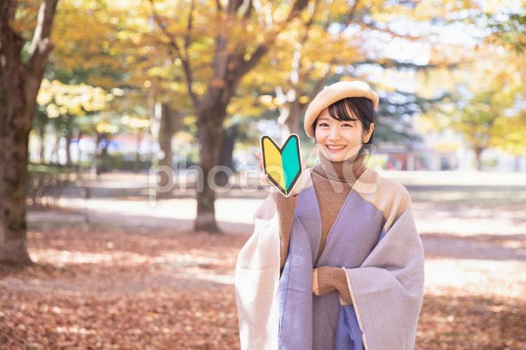 秋の公園にいる初心者マークを持つ女性 初心者,未経験者,秋の写真素材