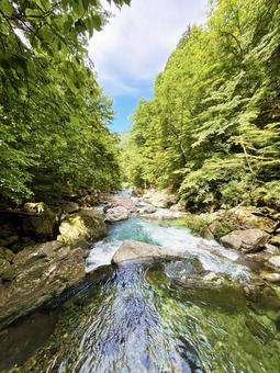A mountain stream surrounded by greenery, JPG