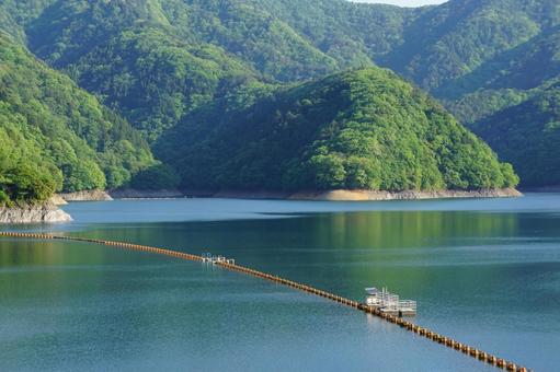 奥多摩湖 奥多摩湖 湖,自然,背景の写真素材