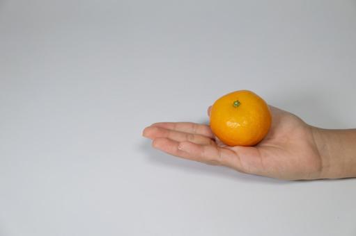 手のひらに乗ったみかんとコピースペース みかん,手,人の写真素材