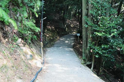 山道のS字カーブ 山道,s字,アルファベット構図の写真素材