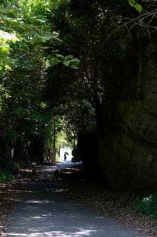 ［神奈川県鎌倉市］亀ケ谷坂切通の写真
