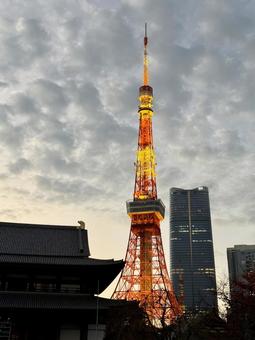 東京タワー、増上寺、麻布台ヒルズ 増上寺,東京,タワーの写真素材