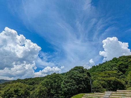立石公園 立石公園,夏,公園の写真素材