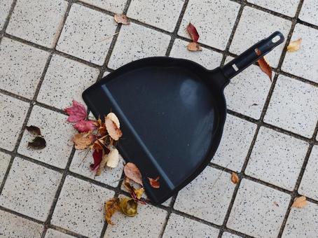 チリトリと落ち葉 掃除,落ち葉,枯れ葉の写真素材