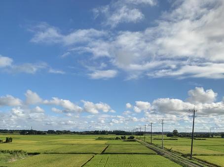 夏の終わりの青空と田園風景 夏の終わりの青空と田園風景の写真