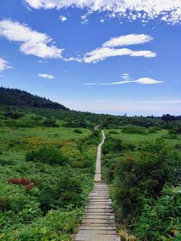 福島 鎌沼の木道歩き② 木道,鎌沼,湖沼歩きの写真素材