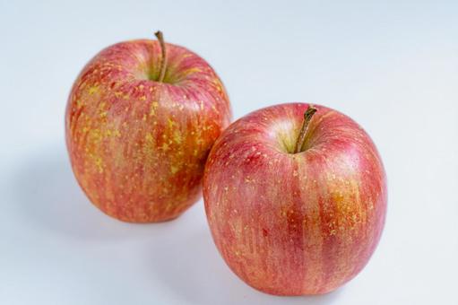 早生ふじりんご 白背景 りんご,早生ふじ,ふじりんごの写真素材
