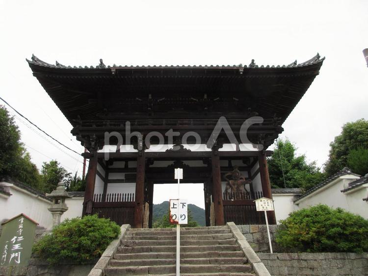 奈良県-當麻寺-仁王門 當麻寺,寺,二上山の写真素材