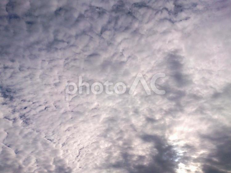 一月の午後の空/1 青空,冬,天気の写真素材