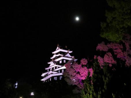 ライトアップされた岡山城天守閣 ライトアップされた岡山城天守閣 岡山城,ライトアップ,夜の写真素材