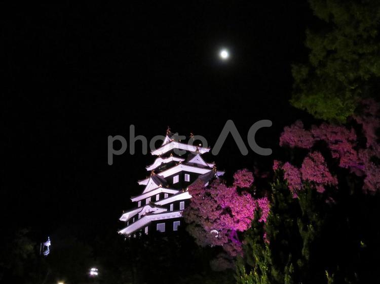 ライトアップされた岡山城天守閣 岡山城,ライトアップ,夜の写真素材