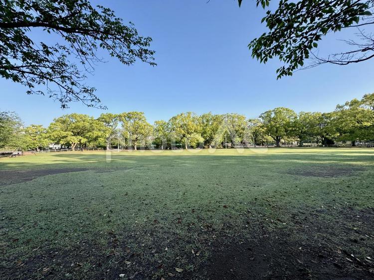 広い公園と青空が気持ち良い風景 公園,庭園,芝生の写真素材