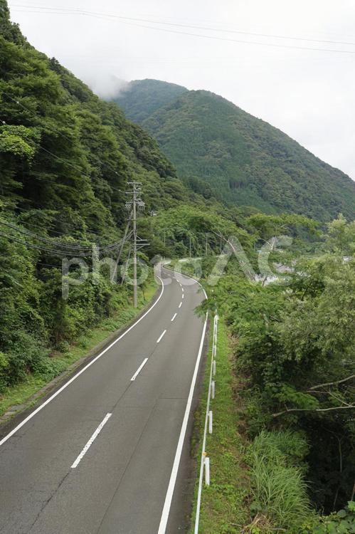 吊り橋の下を通る道 山道,道路,山の写真素材