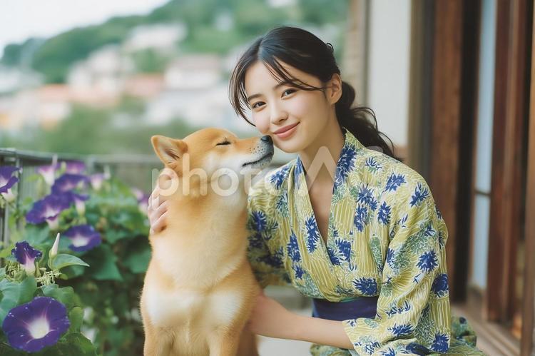 浴衣を着た女性と柴犬と朝顔 アサガオ,朝顔,あさがおの写真素材