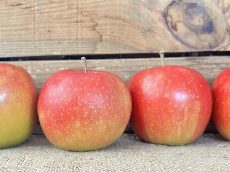 りんごと木箱 りんご,木箱,フルーツの写真素材