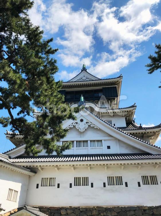 小倉城と松と空02 小倉城,天守閣,城の写真素材
