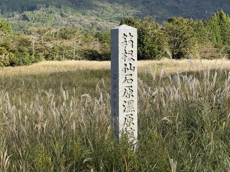 箱根仙石原の石碑とススキ 箱根仙石原の石碑とススキの写真