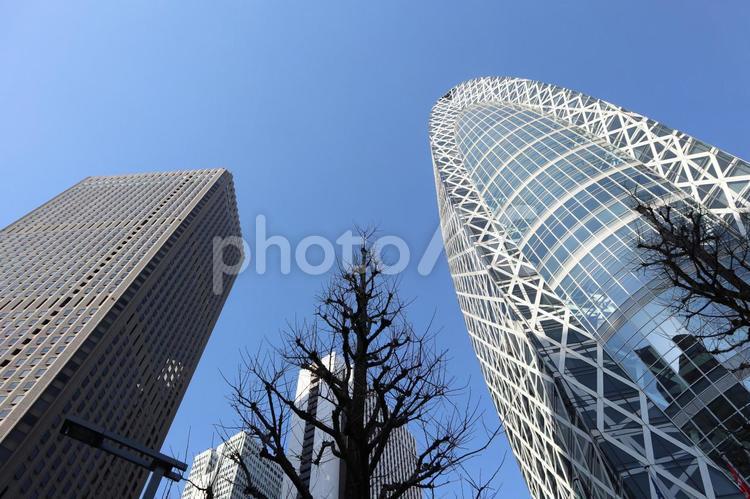 新宿　街並み ビル群,新宿,街並みの写真素材