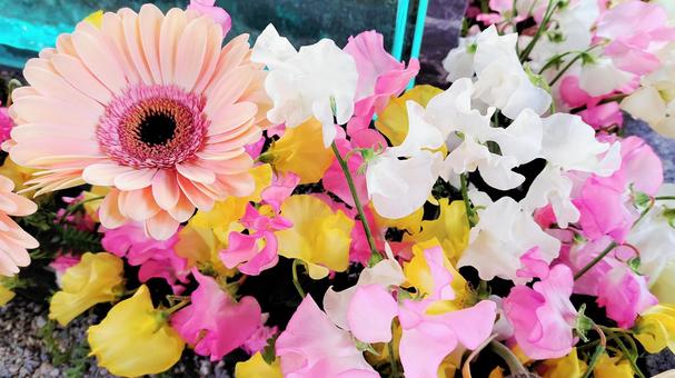 Pink spring flowers 008, flower, gerbera, sweet pea, JPG