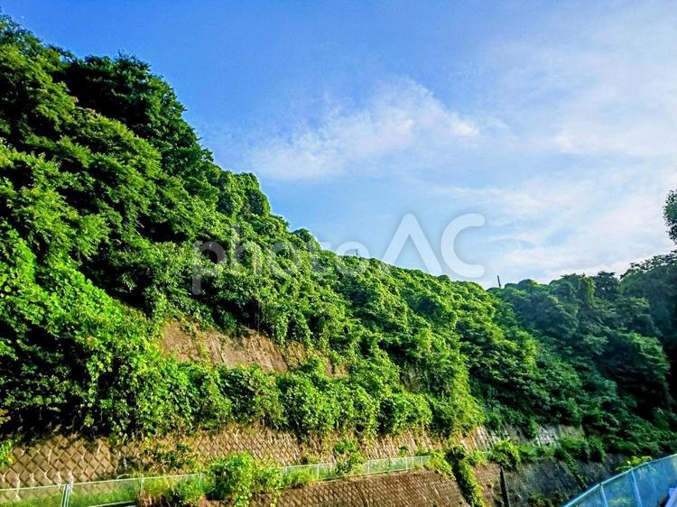 青空と緑の壁　風景　景色　晴天 青空,空,晴天の写真素材