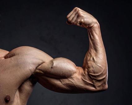 腕を見せる 腕を見せるの写真