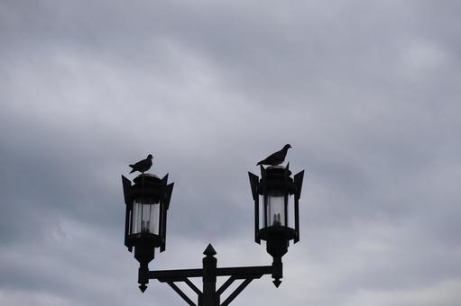 曇り空と鳩のとまる街灯の街並みの風景 曇り空と鳩のとまる街灯の街並みの風景の写真