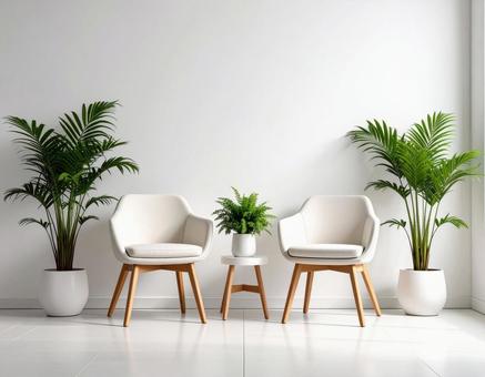 白い室内の椅子と観葉植物 白い室内の椅子と観葉植物の写真