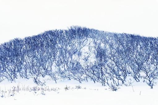 雪に覆われた原野の幻想風景 雪に覆われた原野の幻想風景 木,雪,北海道の写真素材