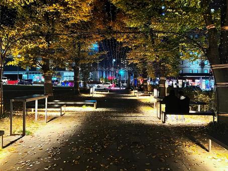 夜の秋田駅前 街路樹,ライトアップ,イルミネーションの写真素材