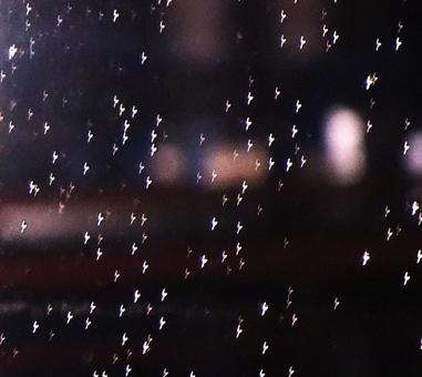 夜のフロントガラスの雨粒 車窓,フロントガラス,雨粒の写真素材