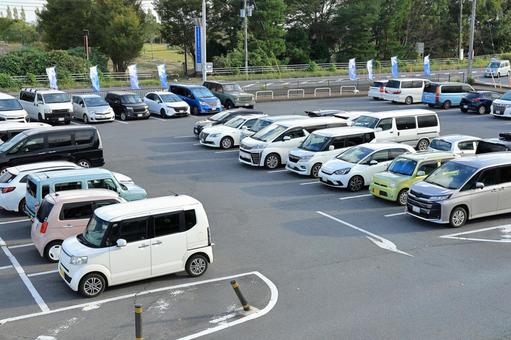 駐車場のたくさんの自動車 自動車,乗用車,駐車場の写真素材