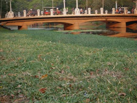 カンボジア 橋 風景 カンボジア 橋 風景の写真