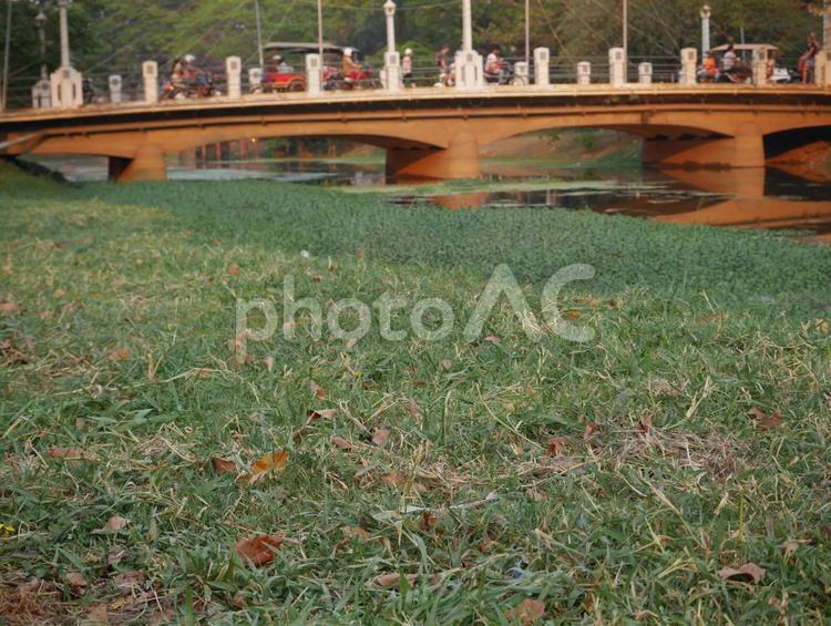 カンボジア　橋　風景 アジア,自然,野原の写真素材