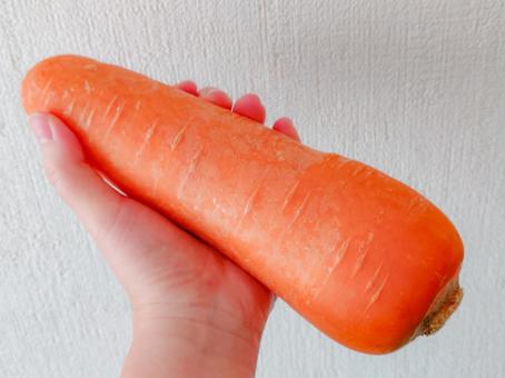 人参を手に持つ1 にんじん,手,カロテンの写真素材