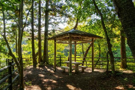 与兵衛沼の風景⒁ 与兵衛沼公園,与兵衛沼,仙台藩士鈴木与兵衛の写真素材