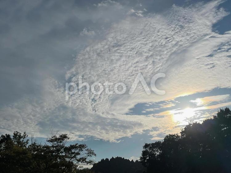 秋の空と木々 空,雲,木の写真素材