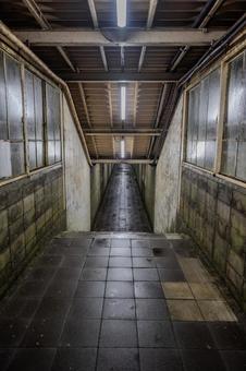 Photo, dogo station, mole station, station, 