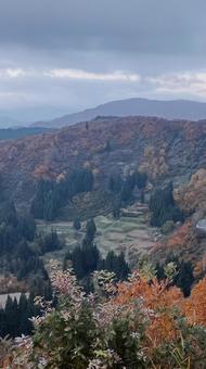 魚沼スカイラインの紅葉 紅葉,魚沼スカイライン,秋の写真素材