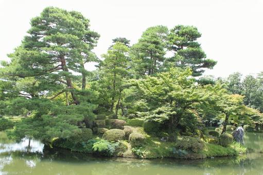 夏の兼六園 夏の兼六園の写真