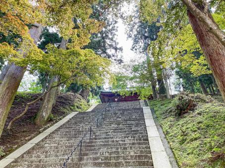 高野山の石段と新緑の参道 高野山の石段と新緑の参道 高野山,和歌山,世界遺産の写真素材